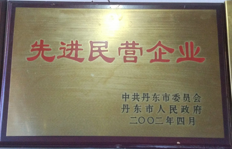 先進民營企業(yè) 2002.jpg